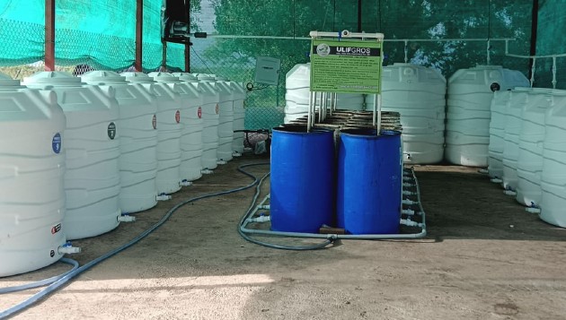 Ulifgros SRS™38 Barral System